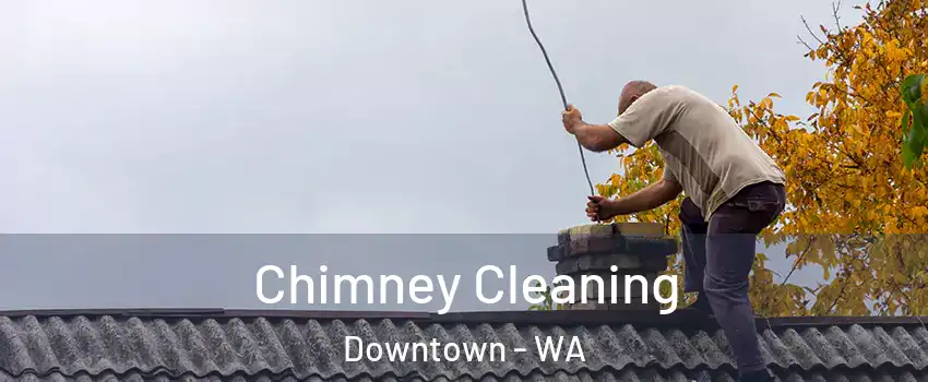 Chimney Cleaning Downtown - WA