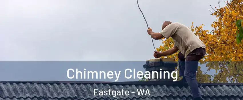 Chimney Cleaning Eastgate - WA