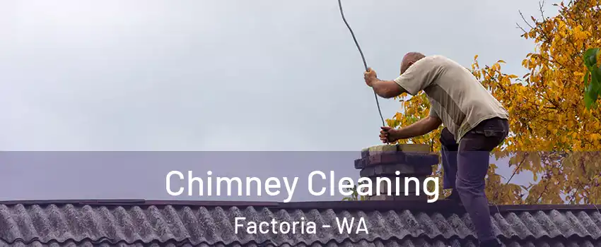 Chimney Cleaning Factoria - WA