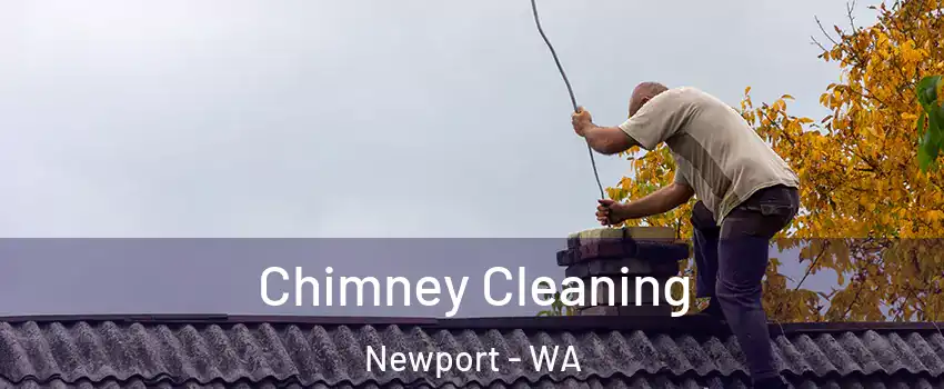 Chimney Cleaning Newport - WA