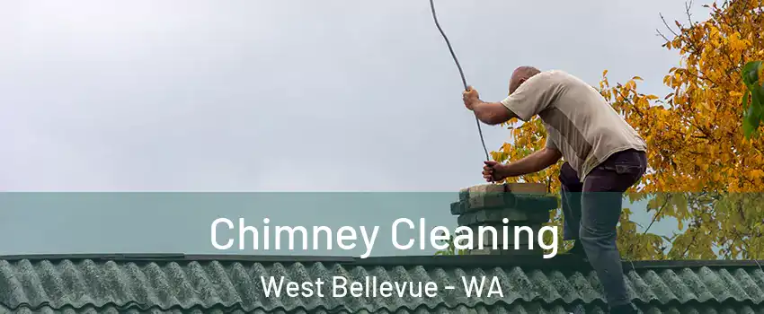 Chimney Cleaning West Bellevue - WA