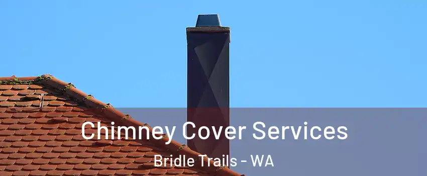 Chimney Cover Services Bridle Trails - WA