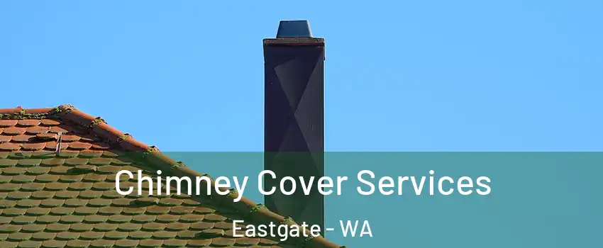 Chimney Cover Services Eastgate - WA