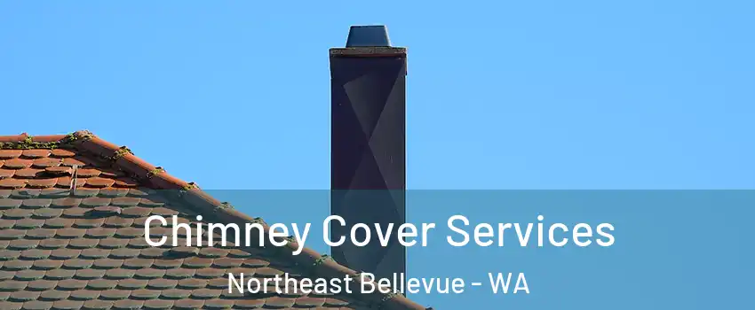 Chimney Cover Services Northeast Bellevue - WA