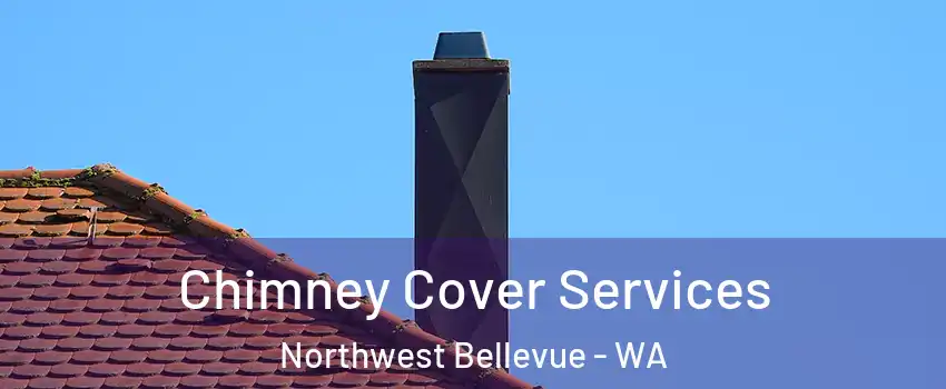 Chimney Cover Services Northwest Bellevue - WA