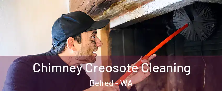 Chimney Creosote Cleaning Belred - WA