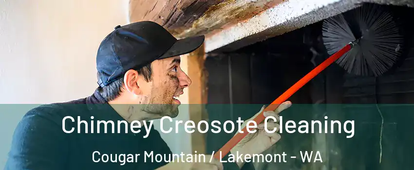 Chimney Creosote Cleaning Cougar Mountain / Lakemont - WA