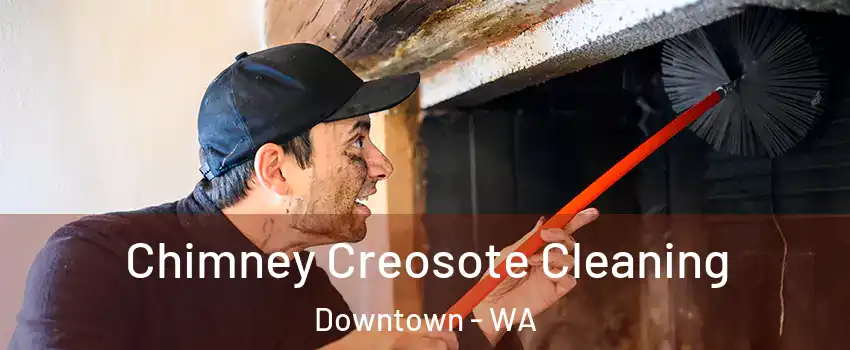 Chimney Creosote Cleaning Downtown - WA