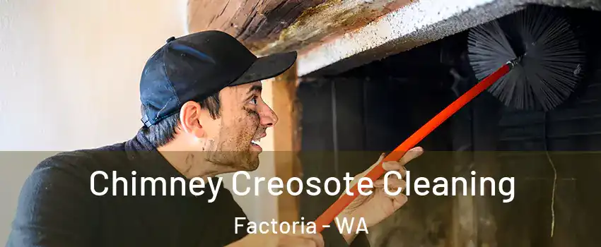 Chimney Creosote Cleaning Factoria - WA