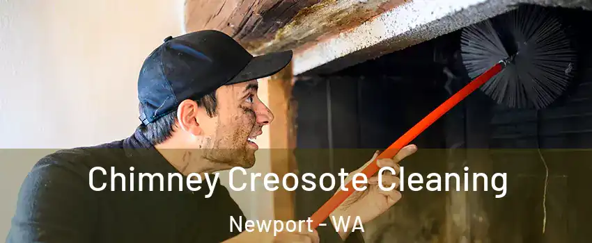 Chimney Creosote Cleaning Newport - WA