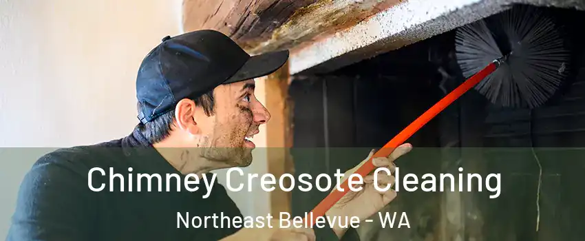 Chimney Creosote Cleaning Northeast Bellevue - WA