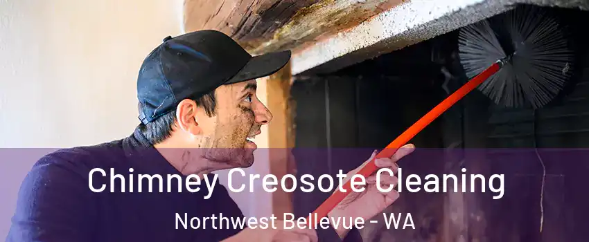 Chimney Creosote Cleaning Northwest Bellevue - WA