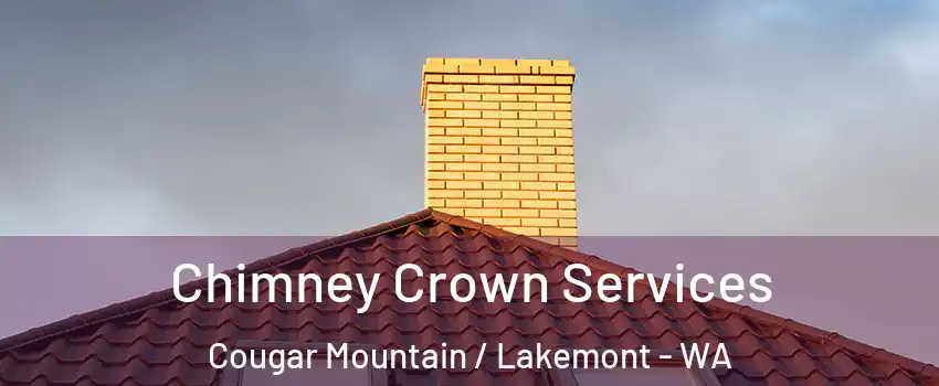 Chimney Crown Services Cougar Mountain / Lakemont - WA