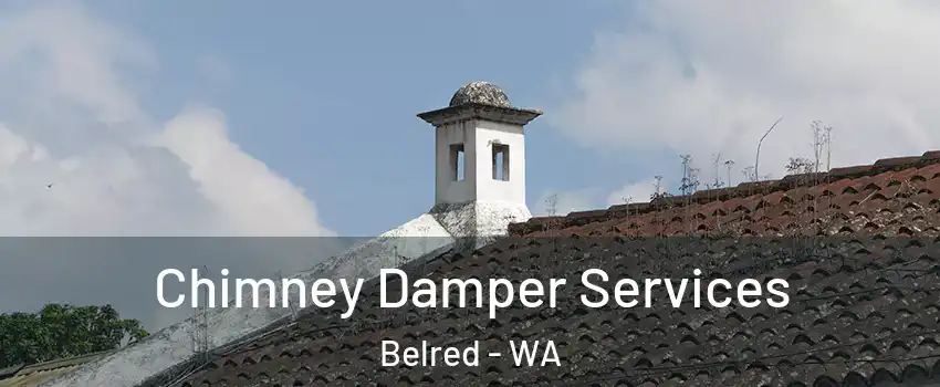 Chimney Damper Services Belred - WA