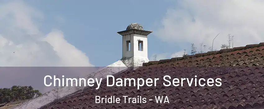 Chimney Damper Services Bridle Trails - WA