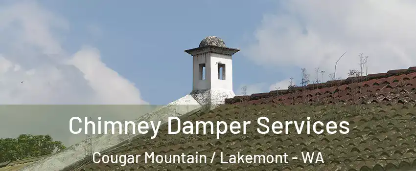 Chimney Damper Services Cougar Mountain / Lakemont - WA