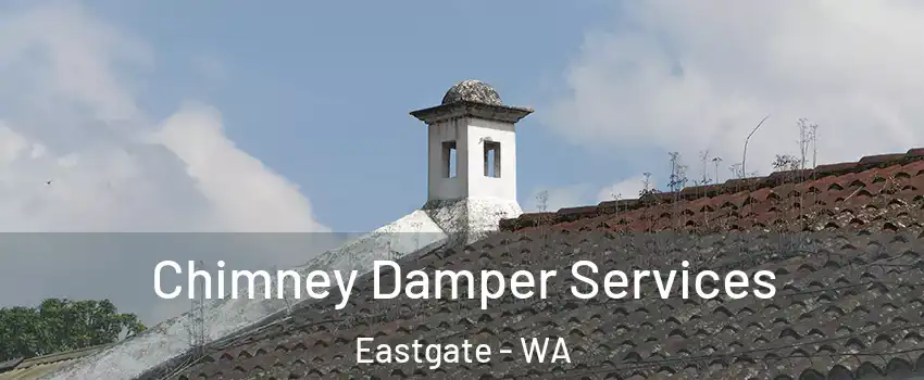 Chimney Damper Services Eastgate - WA