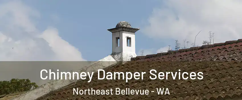 Chimney Damper Services Northeast Bellevue - WA