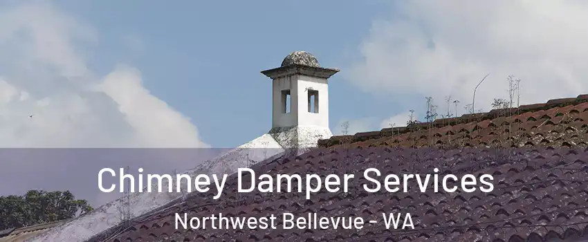 Chimney Damper Services Northwest Bellevue - WA