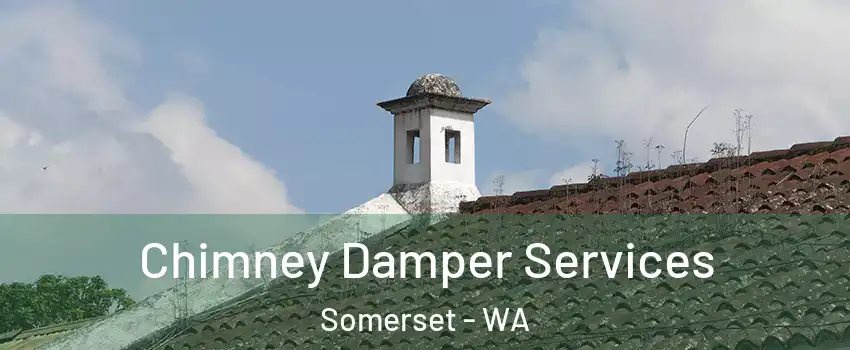 Chimney Damper Services Somerset - WA