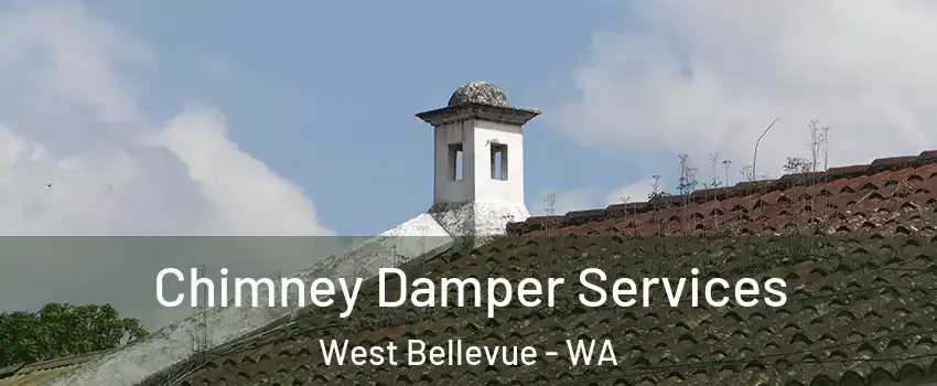 Chimney Damper Services West Bellevue - WA