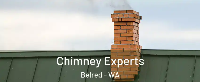 Chimney Experts Belred - WA