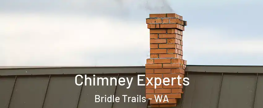 Chimney Experts Bridle Trails - WA