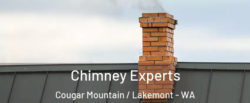 Chimney Experts Cougar Mountain / Lakemont - WA