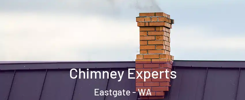 Chimney Experts Eastgate - WA