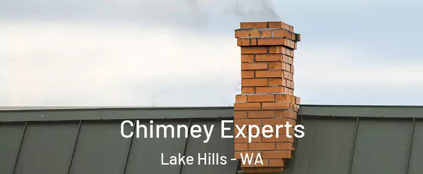 Chimney Experts Lake Hills - WA