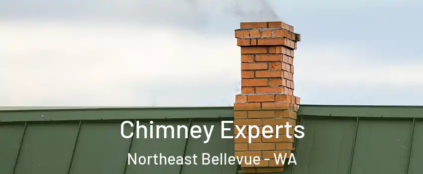 Chimney Experts Northeast Bellevue - WA