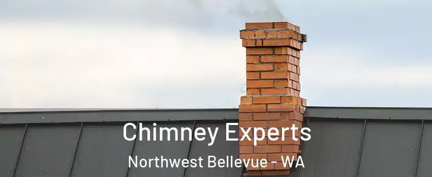 Chimney Experts Northwest Bellevue - WA