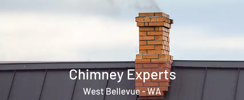 Chimney Experts West Bellevue - WA