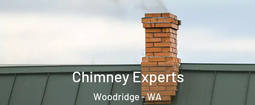 Chimney Experts Woodridge - WA