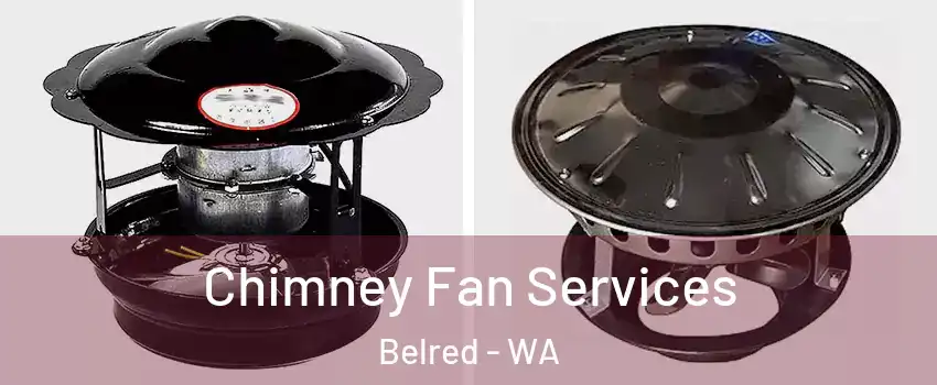 Chimney Fan Services Belred - WA