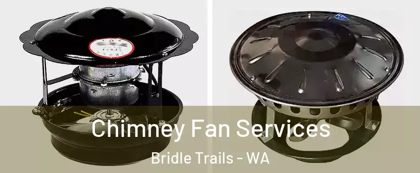 Chimney Fan Services Bridle Trails - WA