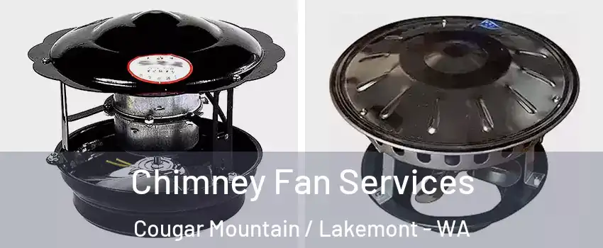 Chimney Fan Services Cougar Mountain / Lakemont - WA