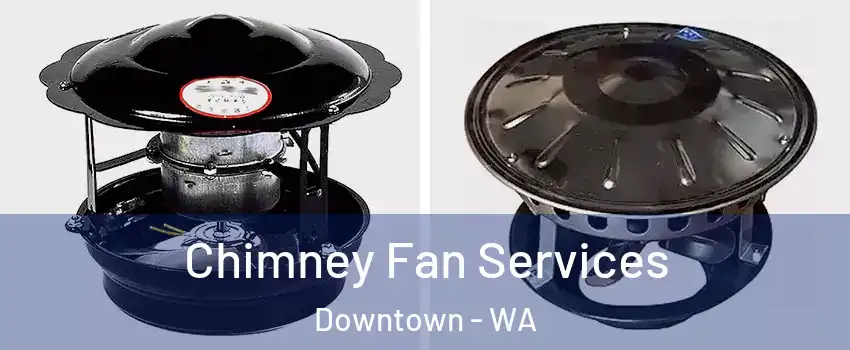 Chimney Fan Services Downtown - WA