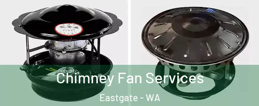 Chimney Fan Services Eastgate - WA