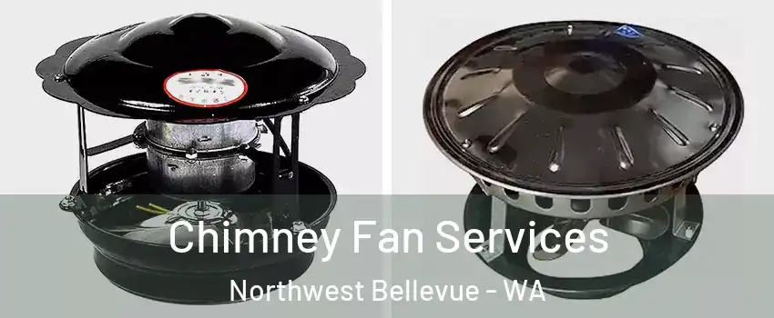 Chimney Fan Services Northwest Bellevue - WA