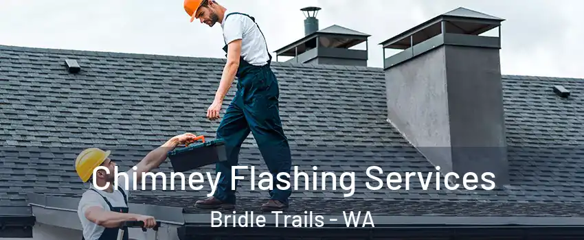 Chimney Flashing Services Bridle Trails - WA