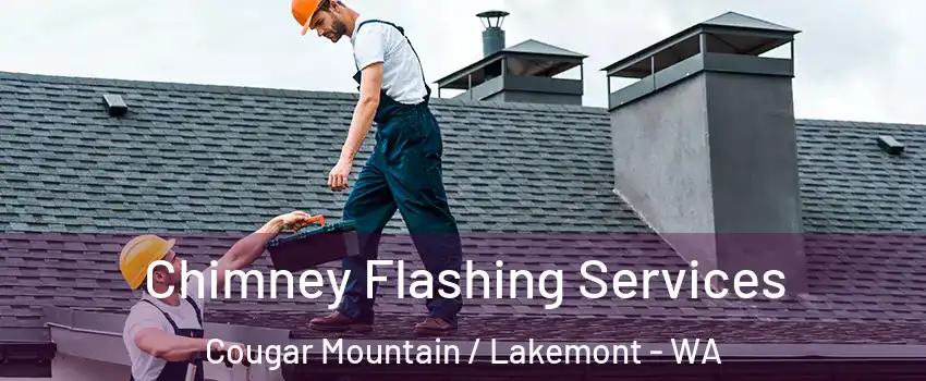 Chimney Flashing Services Cougar Mountain / Lakemont - WA