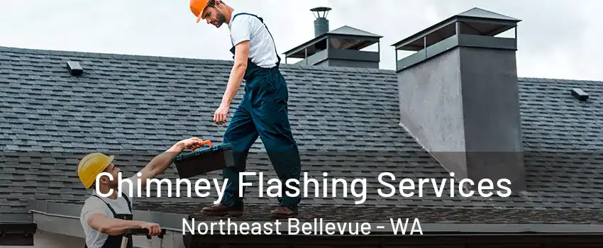 Chimney Flashing Services Northeast Bellevue - WA