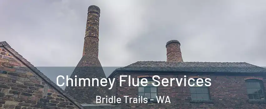 Chimney Flue Services Bridle Trails - WA