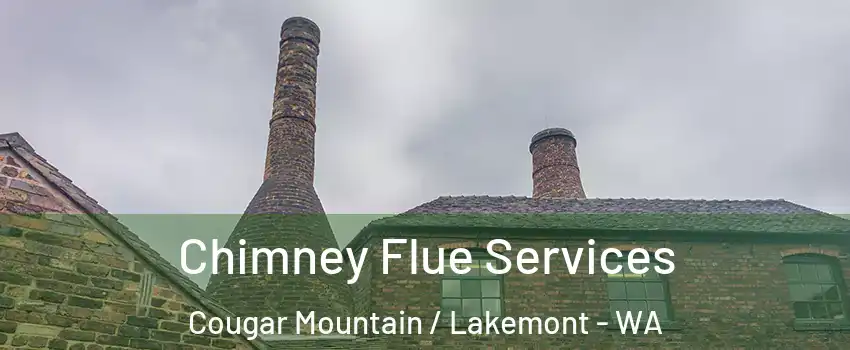 Chimney Flue Services Cougar Mountain / Lakemont - WA