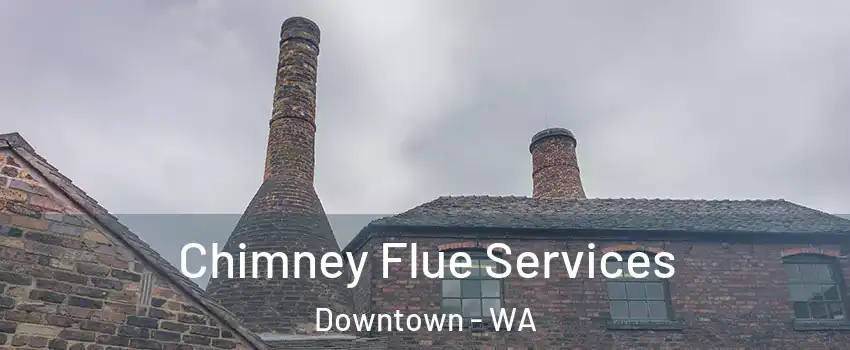 Chimney Flue Services Downtown - WA