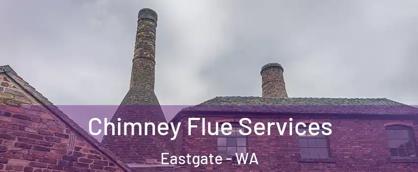 Chimney Flue Services Eastgate - WA