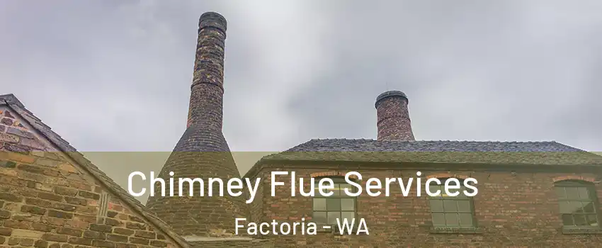 Chimney Flue Services Factoria - WA