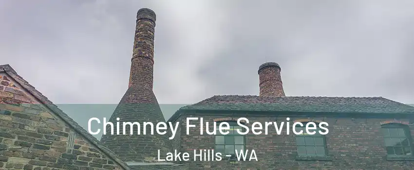 Chimney Flue Services Lake Hills - WA