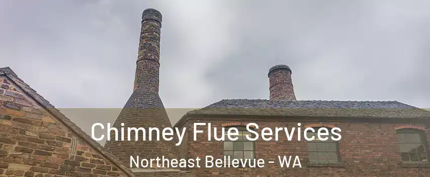 Chimney Flue Services Northeast Bellevue - WA